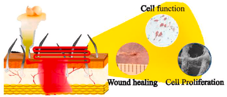 3D打印|南方医科大学最新科研进展:3D打印直写蛋清水凝胶,促进糖尿病慢性伤口愈合!