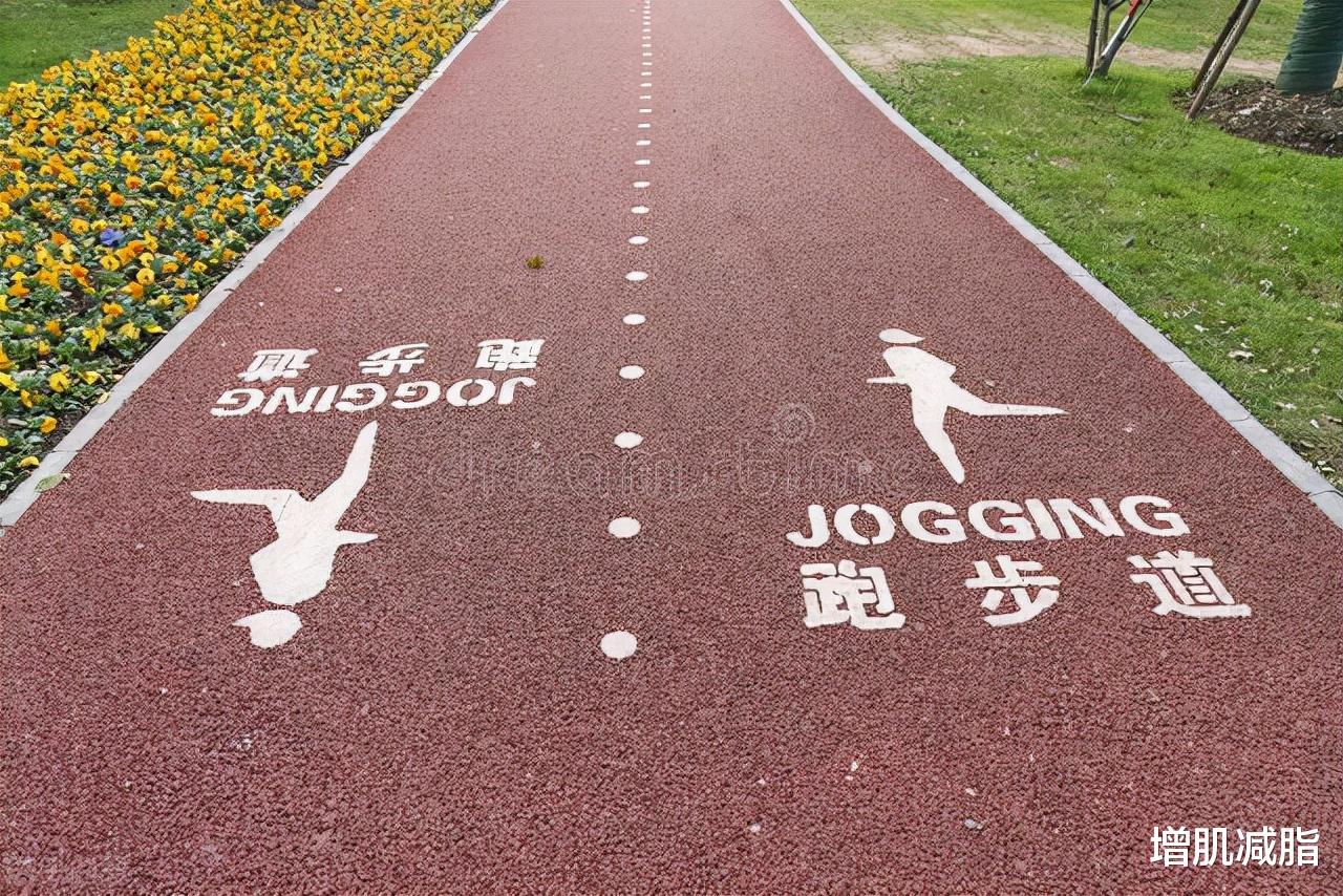 肥胖症 减肥，真的可以靠饿瘦吗？健身才是减肥的不二选择