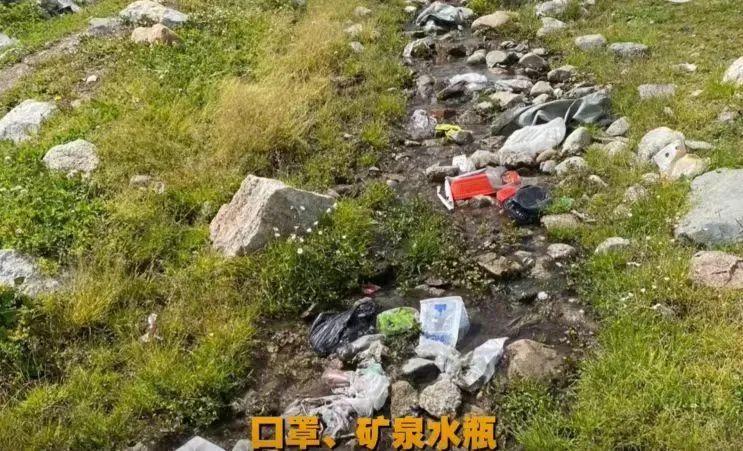 央视点名的“造假”网红,背景果然不简单