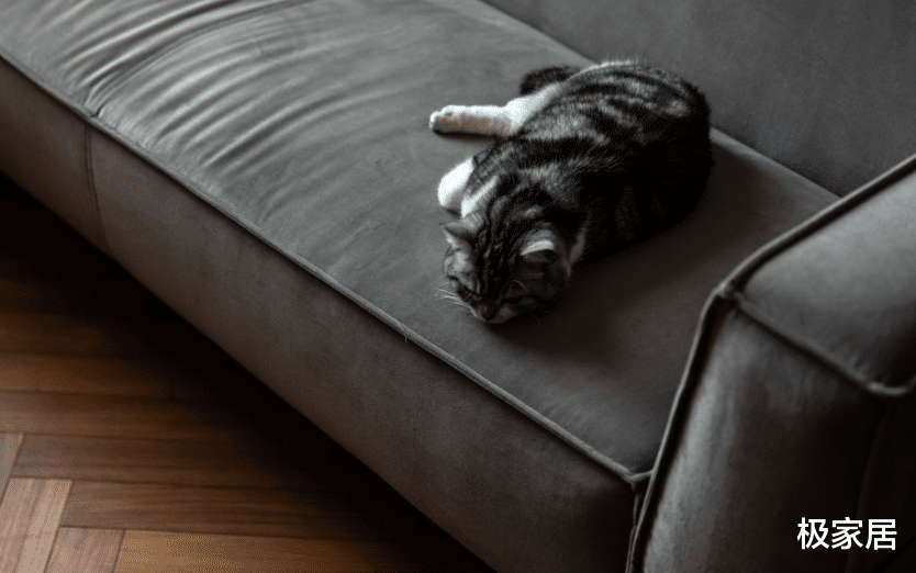 日式纯享风，连猫咪都有了“大别墅”，处处都有新花样