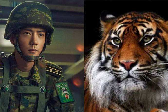 顾一野|王牌部队：从肖战顾一野吃包子到吞老鼠，充分证明了他是“野兽”