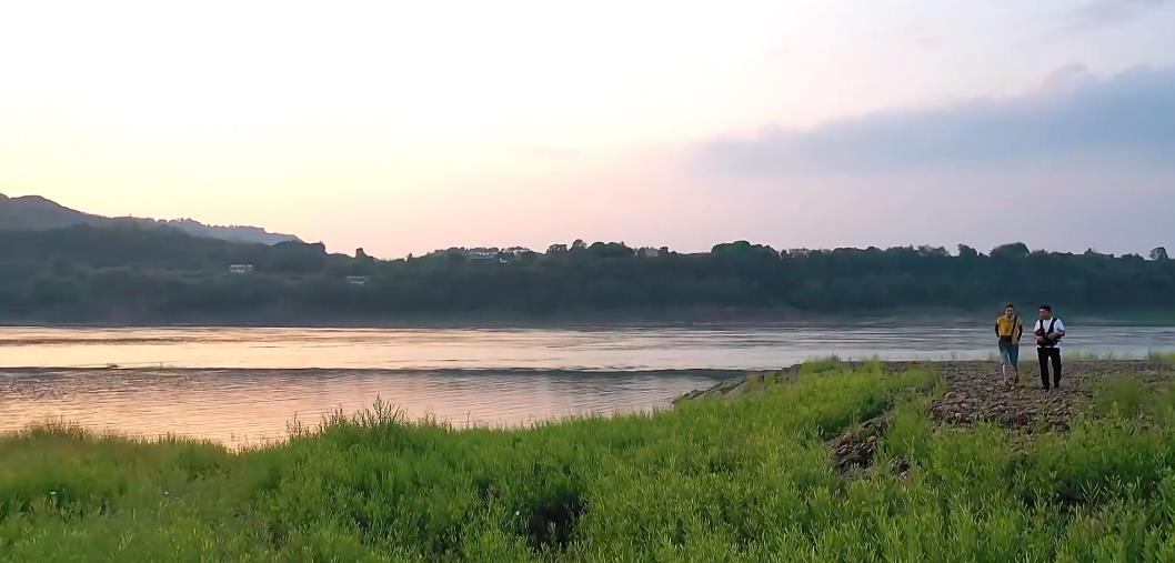 陈贝儿|43岁的她感动中国,走遍6个省,拍天价生意,被央视点名…