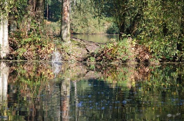 话说欧鲤钓|《话说欧鲤钓》抛投篇 精准节