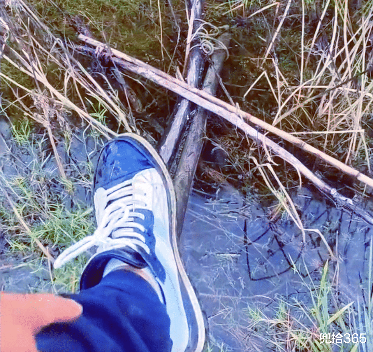 |男子钓鱼时突然“洗鞋”，随后镜头一转大家秒懂：醉翁之意不在酒