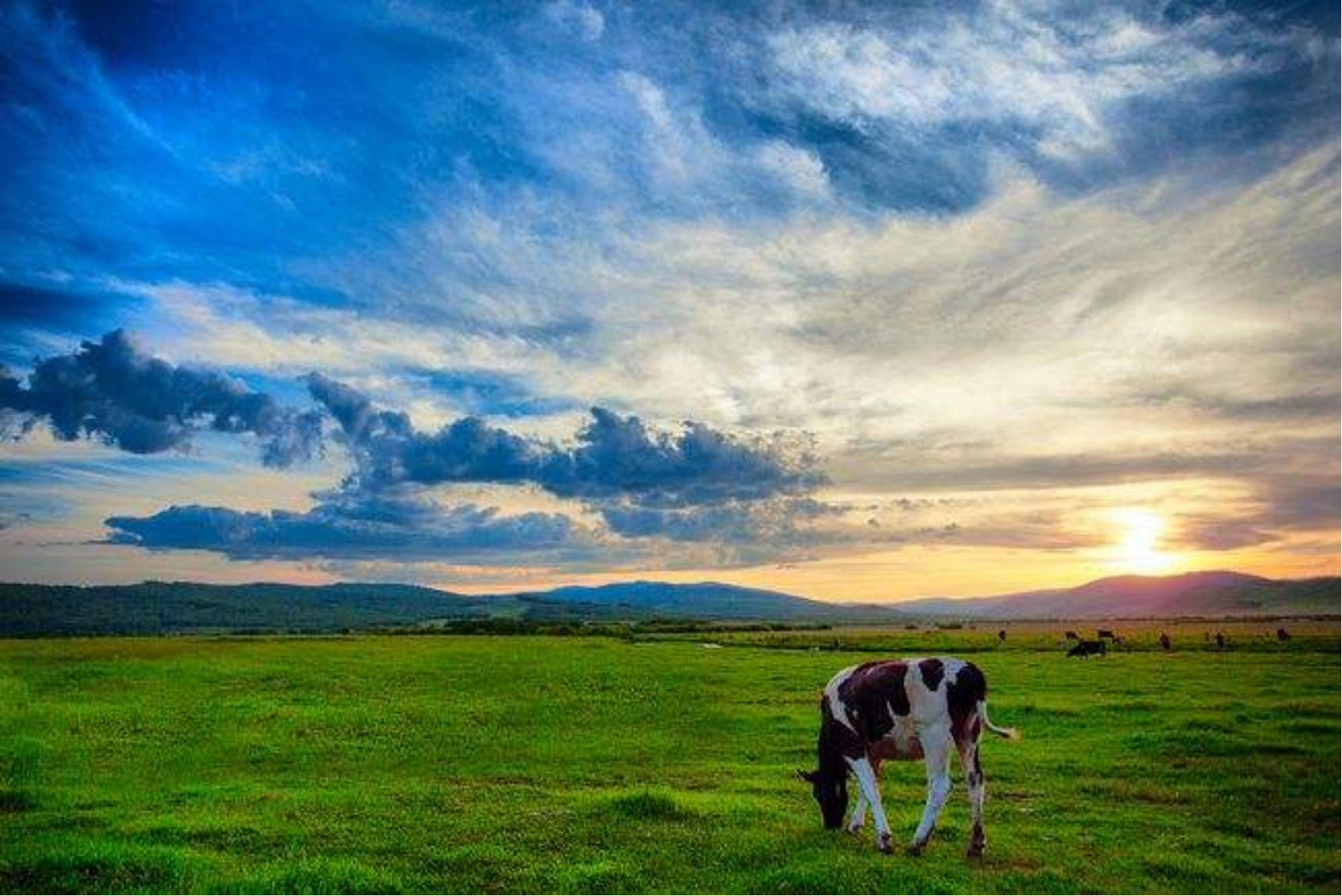 蒙古包|睡在蒙古包里时,洗澡和上厕所怎么办?听听当地人的说法