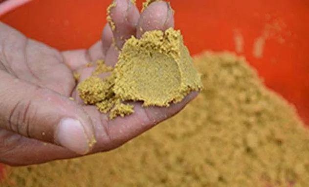 饵料|黑坑抢鱼总是钓个两三条，经常被人打闭口是为什么