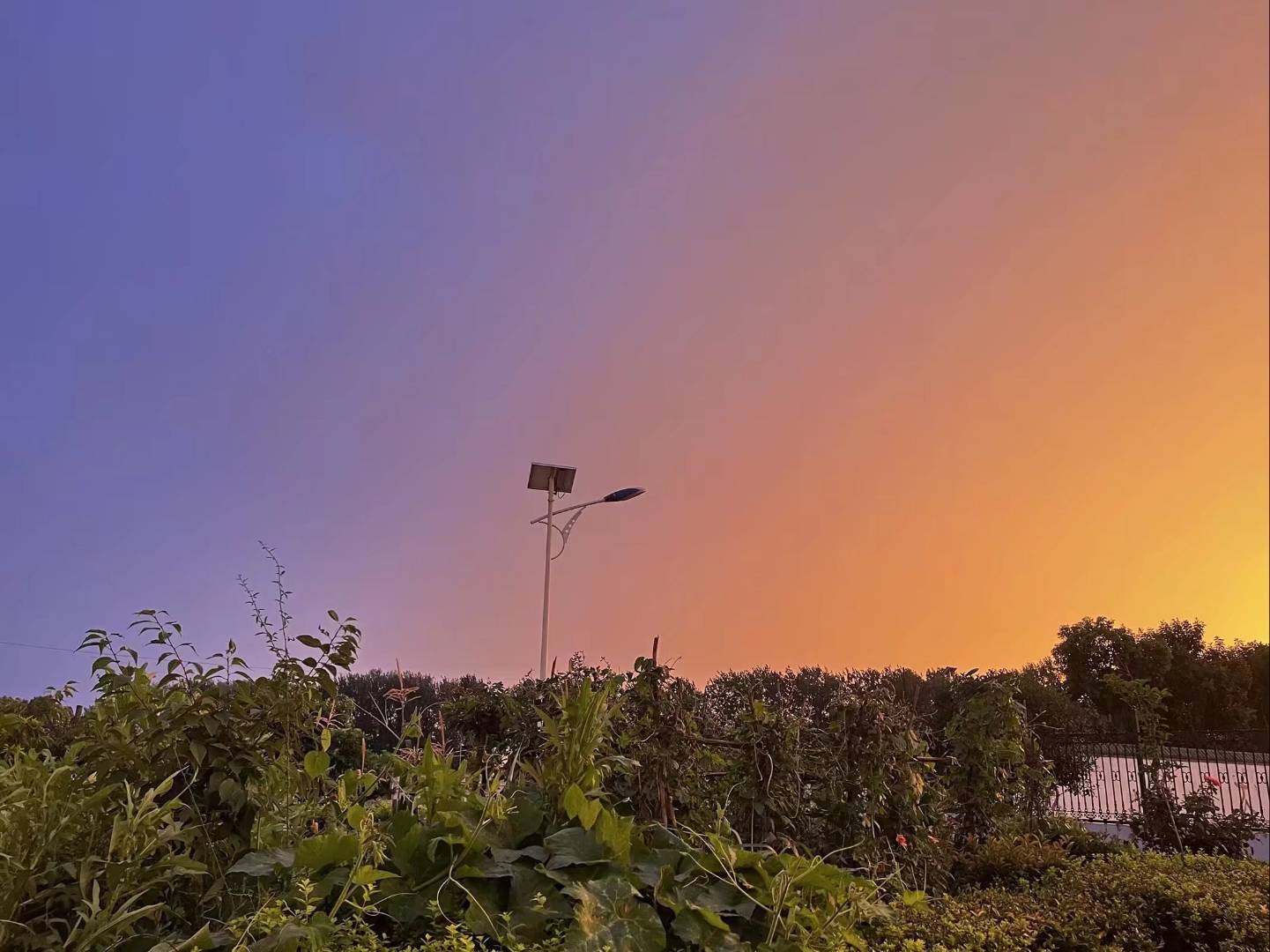 邓超|邓超新片可能会是新春黑马!