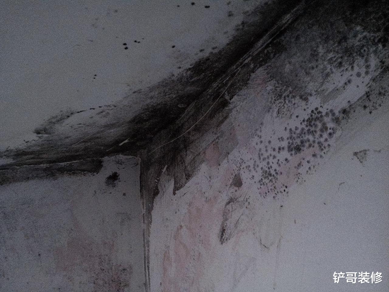 天气潮湿炎热，家里发霉怎么办？学会这招，比重新装修还干净