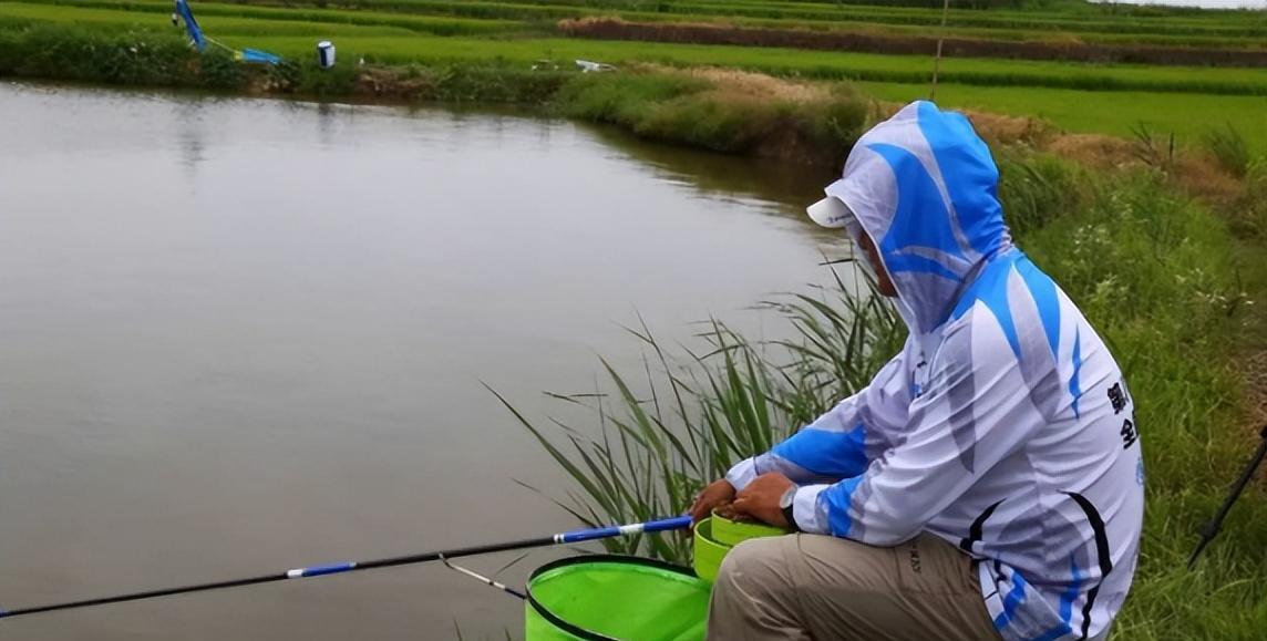饵料|盘点常用的6个饵料配方,野钓不用再去到处找