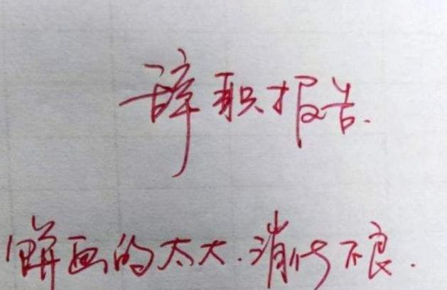 00后|“胃不好，消化不了画饼”，00后辞职理由火了，争当退休预备员？