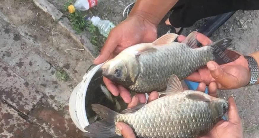 空军|钓鱼:饵料和装备只是基础,想钓到鱼就要学会“找鱼”