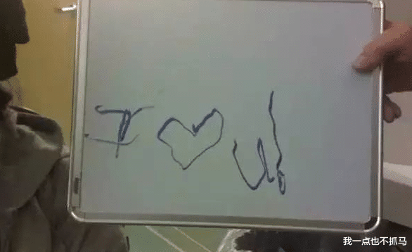 杨坤|杨坤最爱的女人去世!苦等挚爱20年,她再也回不来了