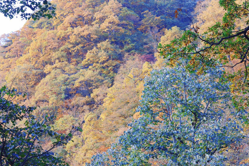 大别山|大别山秋色|从马鬃岭到天堂寨,从安徽到湖北