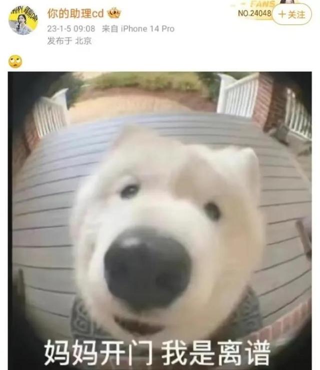 Angelababy|48小时7个瓜,杨颖关喆滑雪被偶遇,苏醒被曝夜会美女,都是大瓜