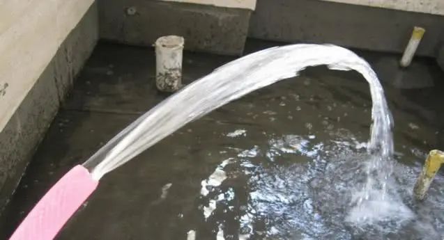 卫生间防水层为什么会有针孔眼?多亏经验人提醒,差点花了冤枉钱
