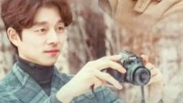 电视剧|2016年的韩剧就像神仙打架! !