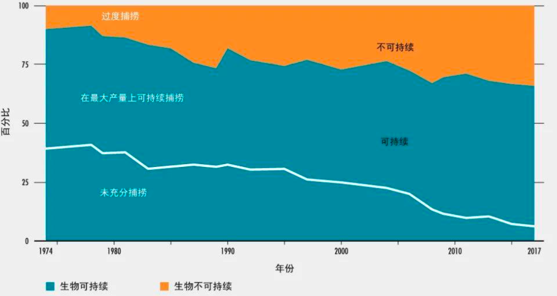 大船厕所里的排泄物,都去哪了?难道是直接排放到海里喂鱼了?