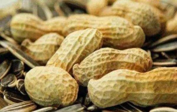 补钙|原来吃虾皮不能补钙？医生：真正补钙的4种食物，很多人都不爱吃