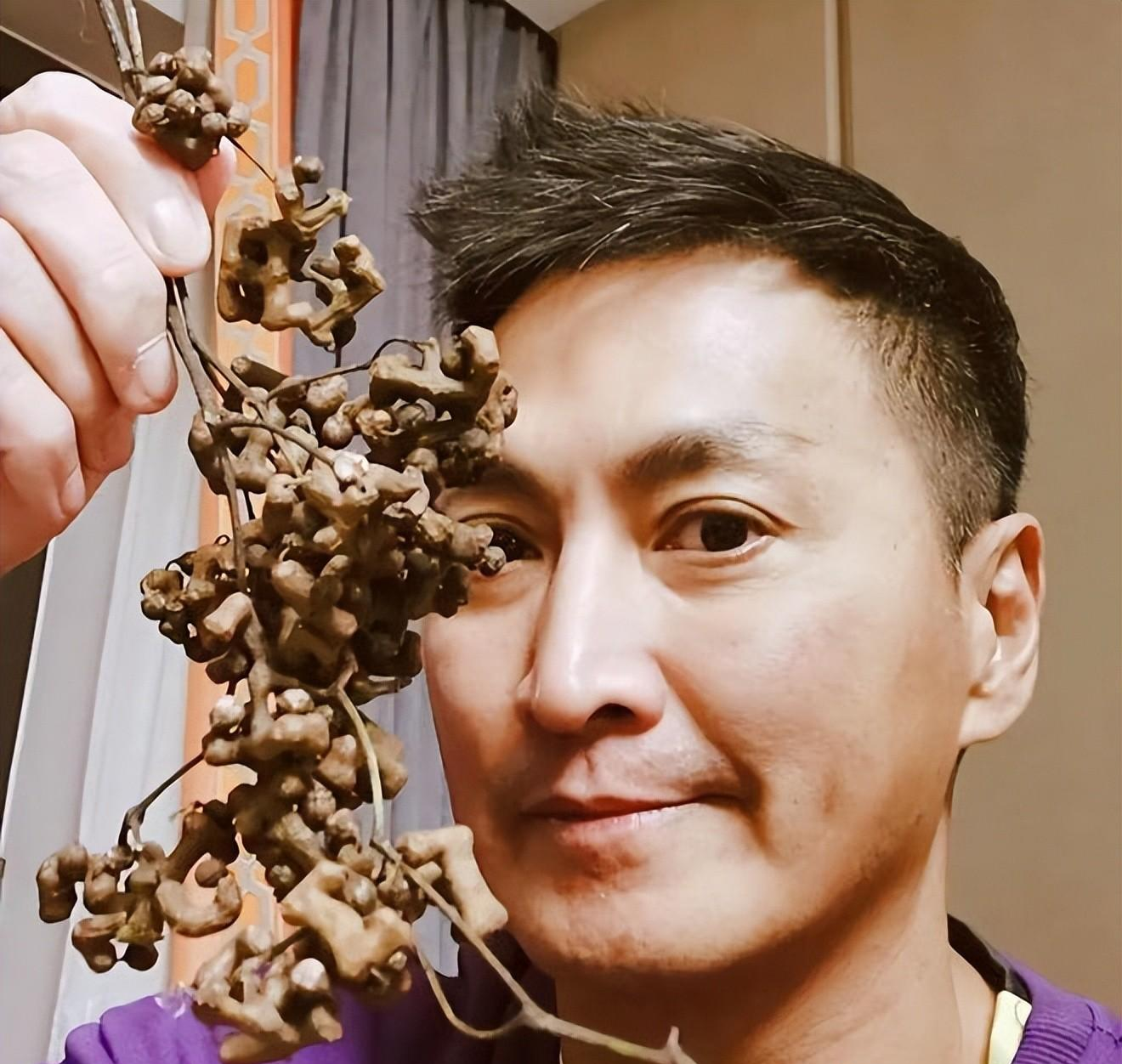 何家劲|何家劲近照,岁月不饶人啊!他这一生,坎坎坷坷,到最后爱而不得