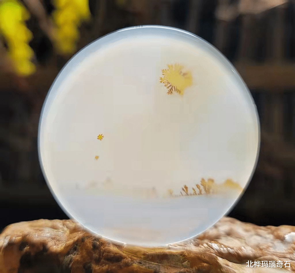 美丽|好看的石头有谁会不喜欢