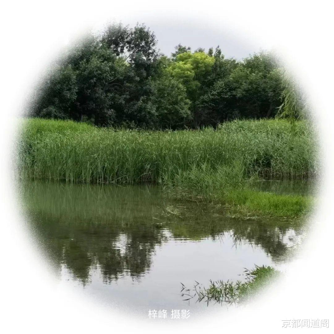 北京市|摄影配诗：京城北坞游园
