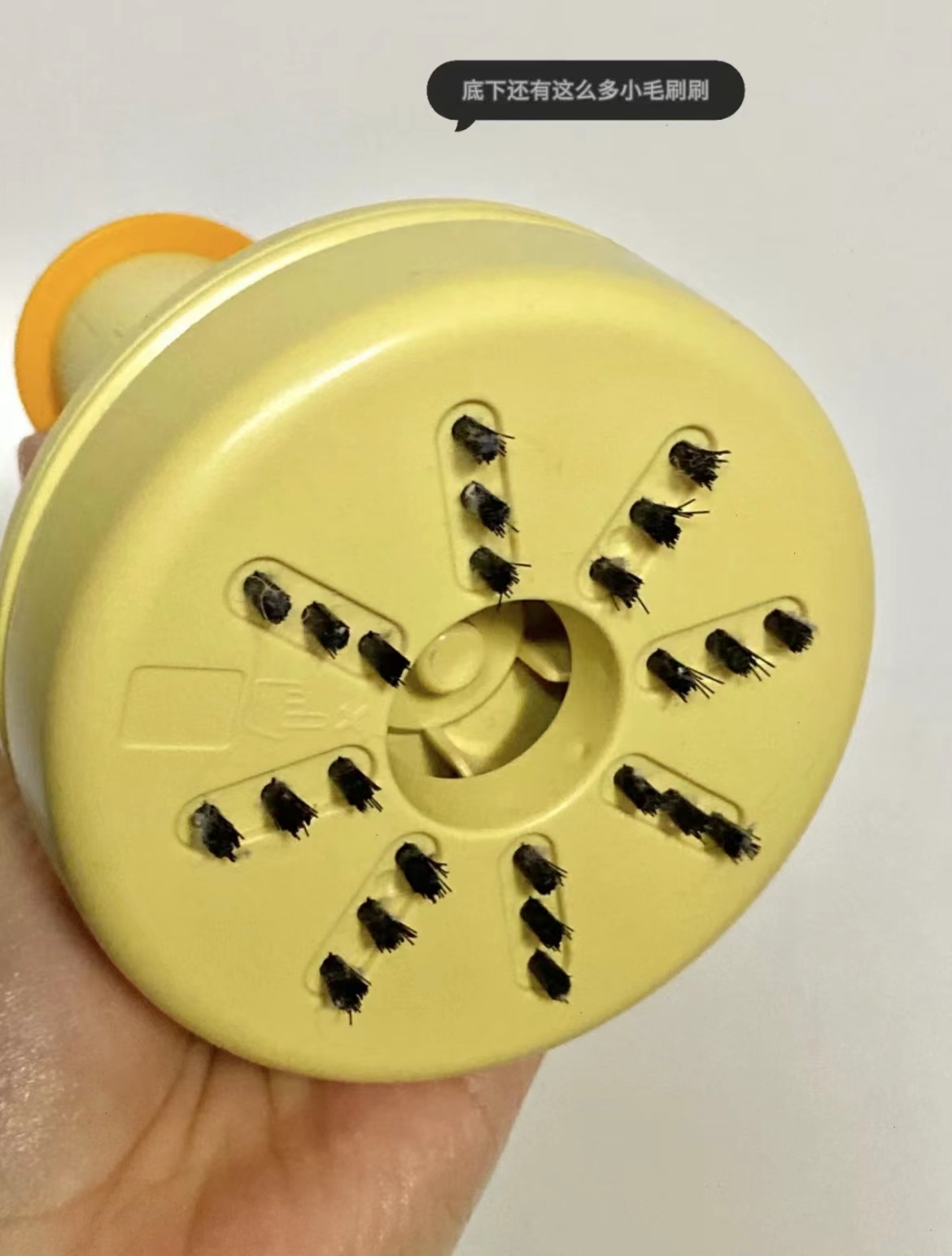 招聘|打工人看过来，这10件办公室好物，我愿称为“都市丽人之光”