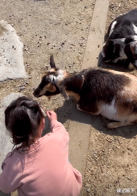 谢婷婷|谢婷婷三岁女儿曝光,比起哥哥谢霆锋,她的婚姻更有看头!