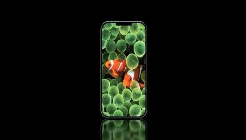 iPhone|iPhone 15周年纪念版发布,外观很漂亮,但你可能买不到