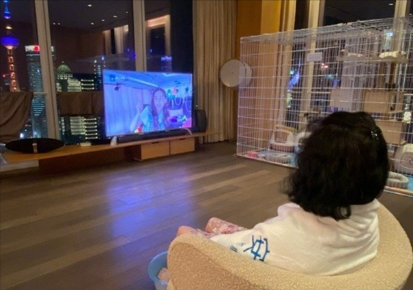 Angelababy|Baby自曝买不起上海的房子，曾晒上亿豪宅内景，背景就是东方明珠