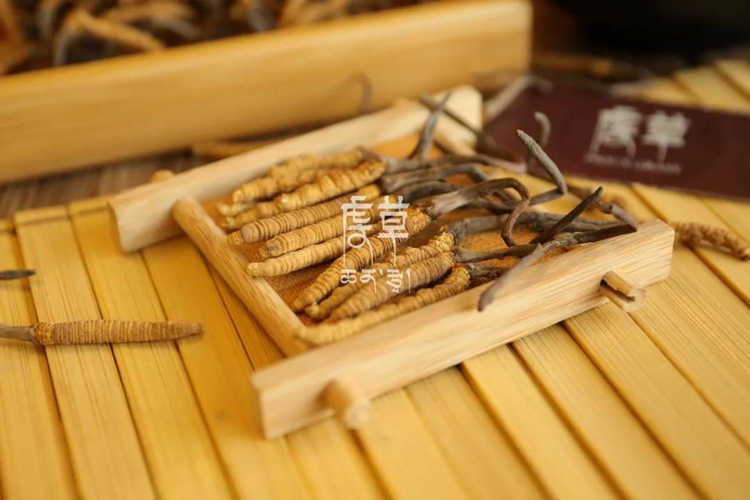 祛湿|虔草:2个滋补气血的虫草养生汤,好喝又营养