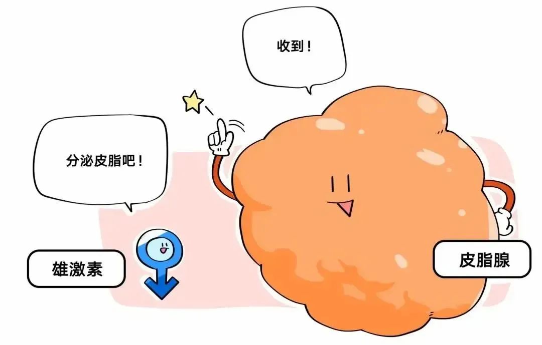 鹌鹑蛋 夏季头发5大困扰,到底该如何解决?