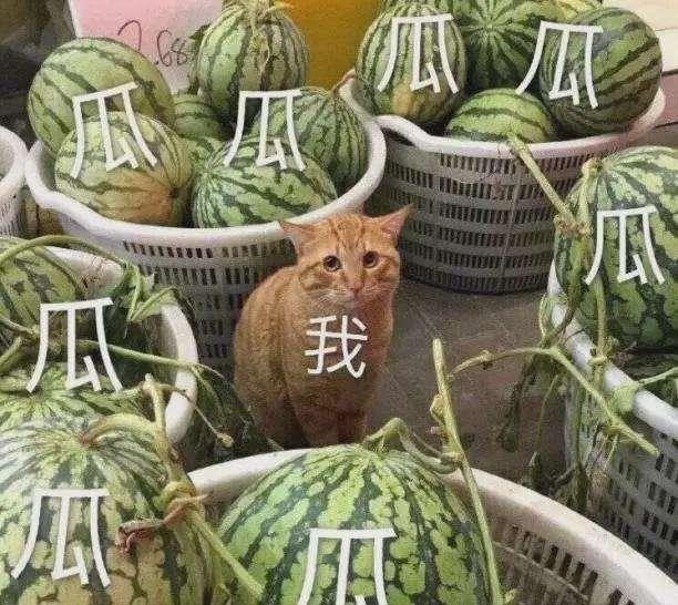 倪虹洁|王子文之后，倪虹洁也自曝：热恋中，有一个孩子！