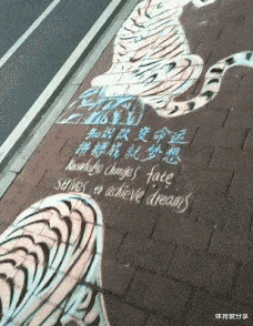 为什么是你|“新买的板鞋,看起来质量不错...”哈哈哈兄弟出门不怕被人打?