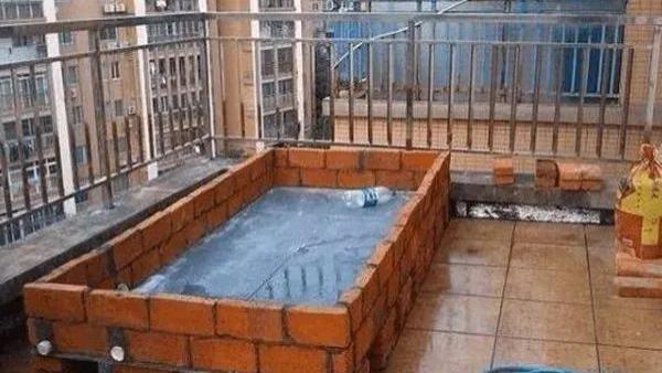 买顶楼被家人反对，用砖砌了个菜园后，他们都赞我精明能干！