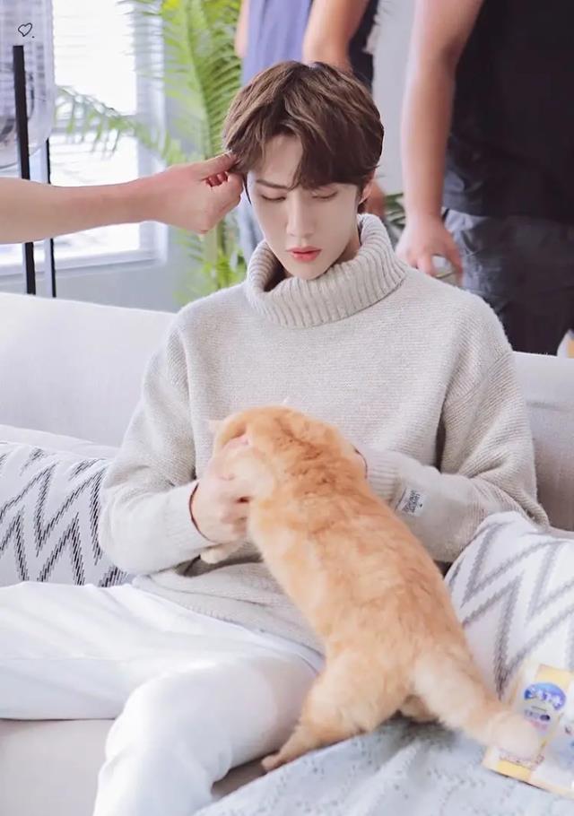 王一博|王一博被黑粉疯狂散布谣言,他到底经历了什么?