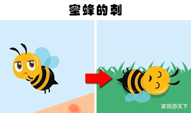 动物们可能会伤害到自己的7个身体部分