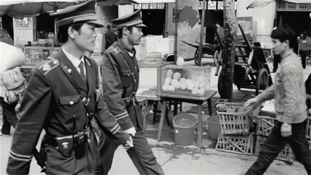 1969年氢弹部件被盗,周总理限10天破案,女贼“蝴蝶”浮出水面