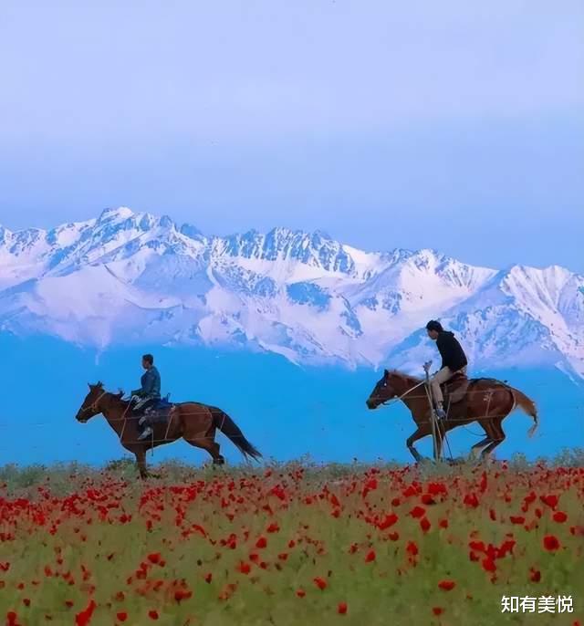 旅游市场|最好的夏天，最美的10个旅行地，个个美如仙境，你准备好出发了吗？