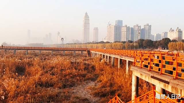 日出|武汉城区有个观日出的好地方，穿过汉口江滩，芦苇栈桥上视野正好