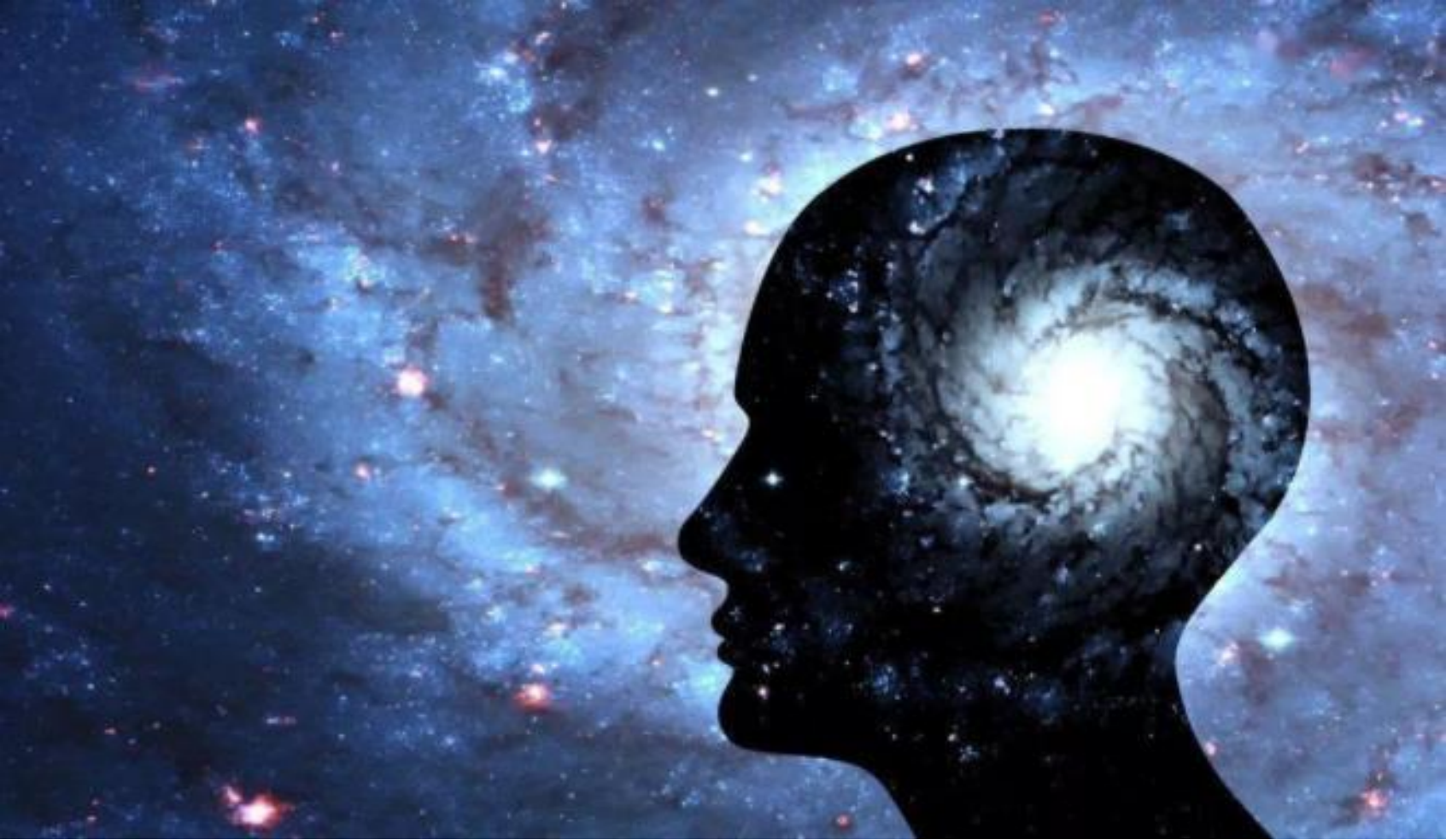 生命真的可以轮回?看看科学家是怎么说的