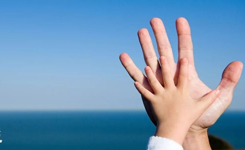 |聪明的父母,做好4件事就够了