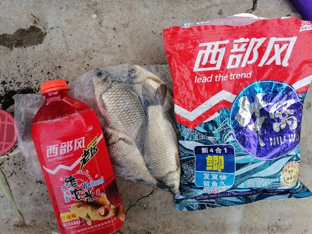 |【试钓报告】牛窝牛窝,越钓越多