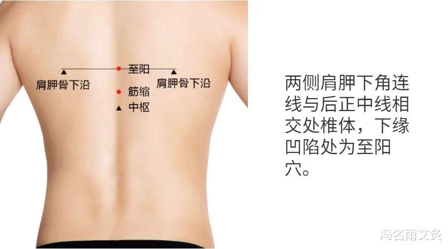 穴位|扶阳：百病皆从督脉治，让你阳气十足的三个穴位