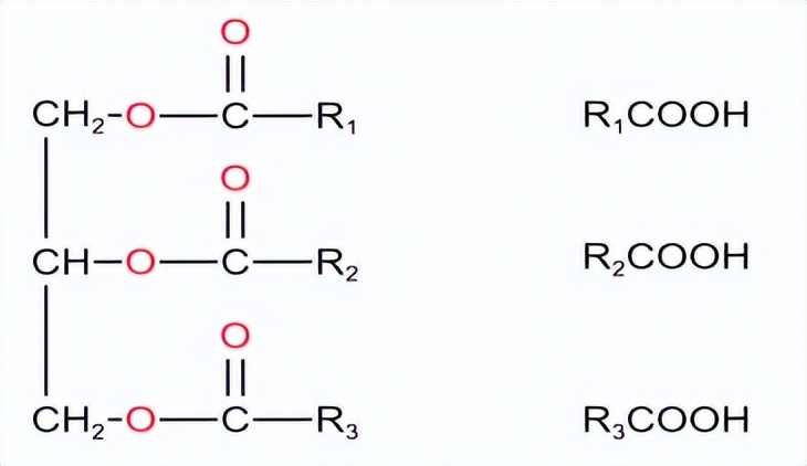 睡眠|气相色谱GC对中链甘油三酸酯中的脂肪酸组分含量检测