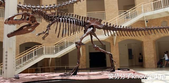 完虐霸王龙?《侏罗纪世界3》里南方巨兽龙是什么恐龙?有多厉害