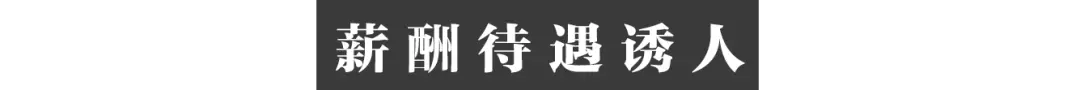 高校|985博士县城求职也不易：投递十几次均落选，改投高校工作不断