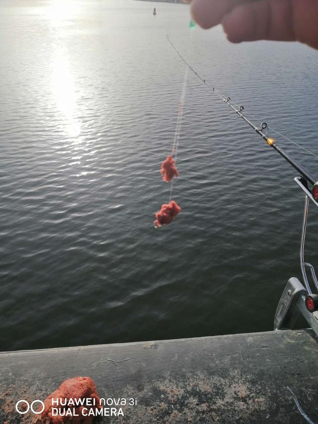 |桥筏钓板鲫，冷风挡不住钓鱼人的热情