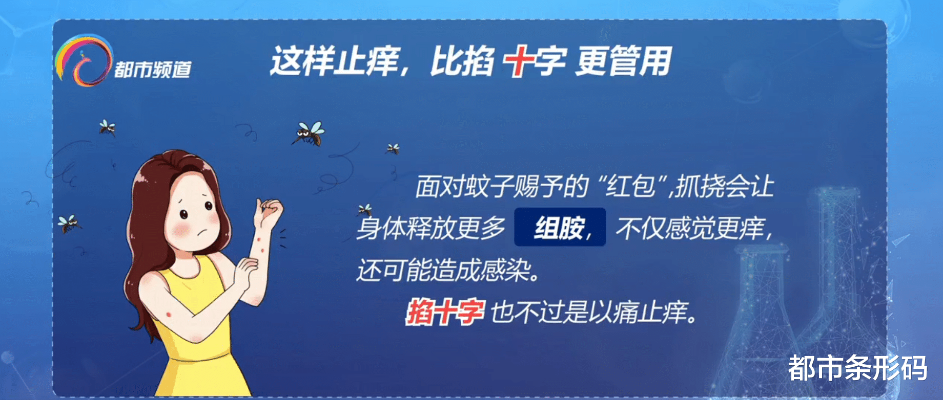 夏日防蚊看这里
