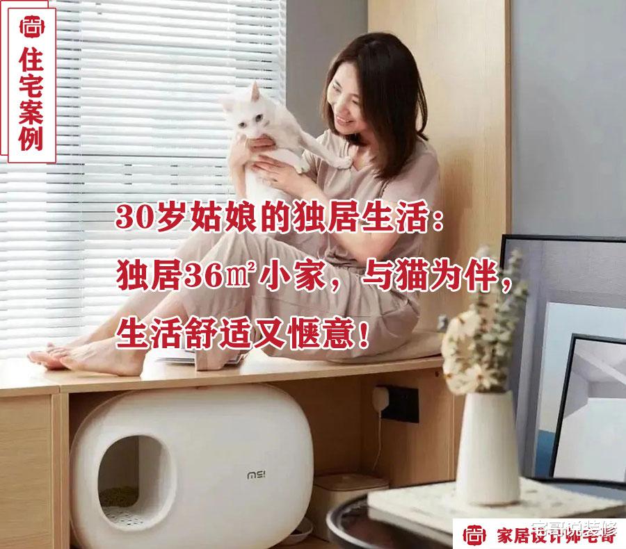 30岁姑娘的独居生活:独居36㎡小家,与猫为伴,生活舒适又惬意!