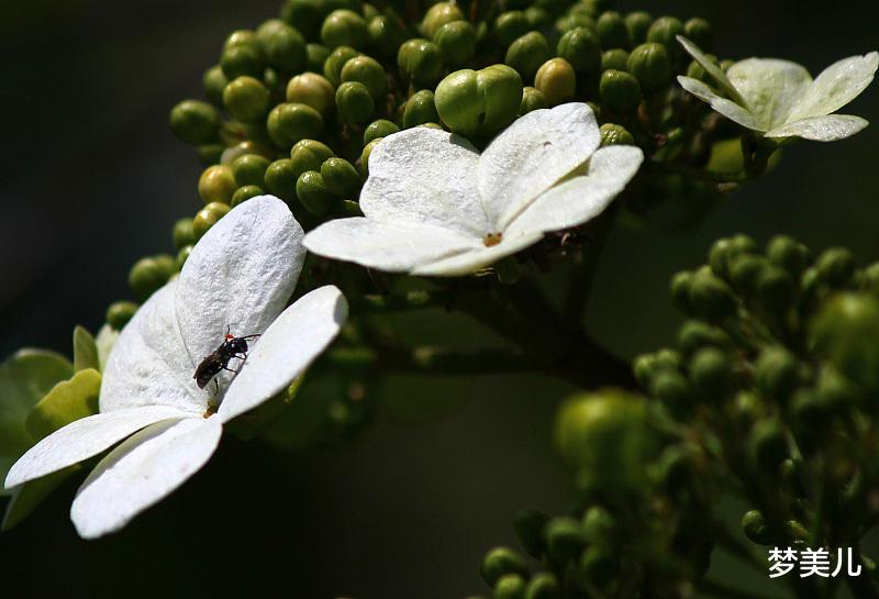 陈俊生|《我的前半生》，教人看清婚外情人的丑恶嘴脸
